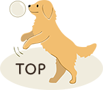 pagetop