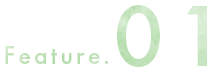 features.01