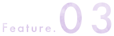 features.03
