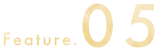 features.05