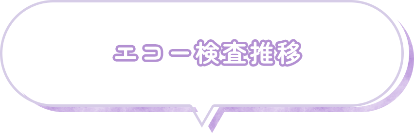 エコー検査推移
