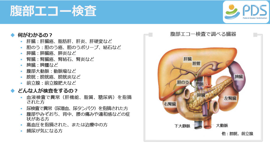 超音波検査のご案内
7