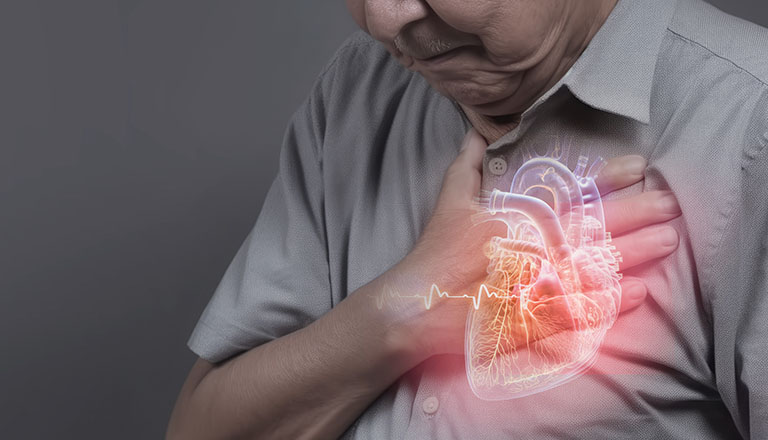 心臓弁膜症・心雑音